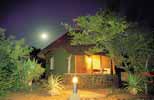 Kruger at night
