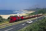 Bannana Express Train